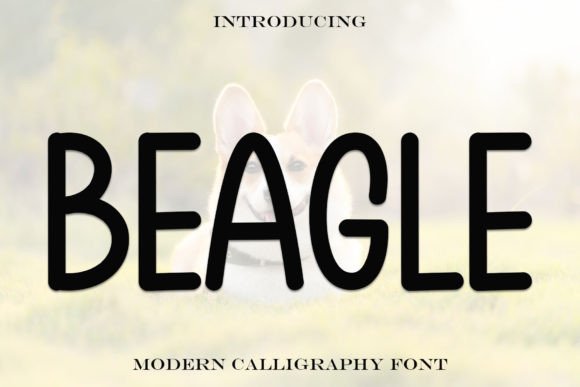 Beagle Font: A Handwritten Typeface for Timeless Creative Projects